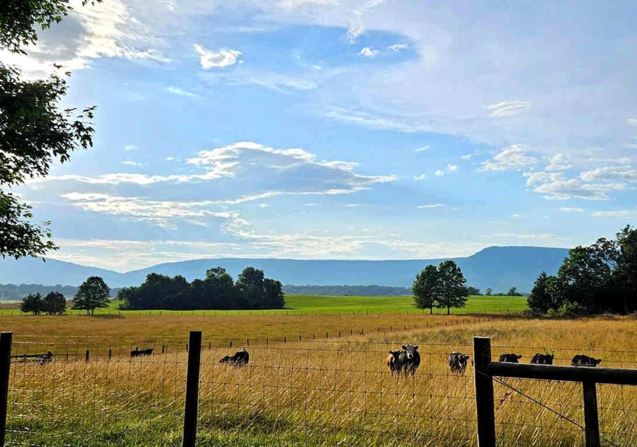 Piney Hill B&B&Cottages Luray Exteriör bild