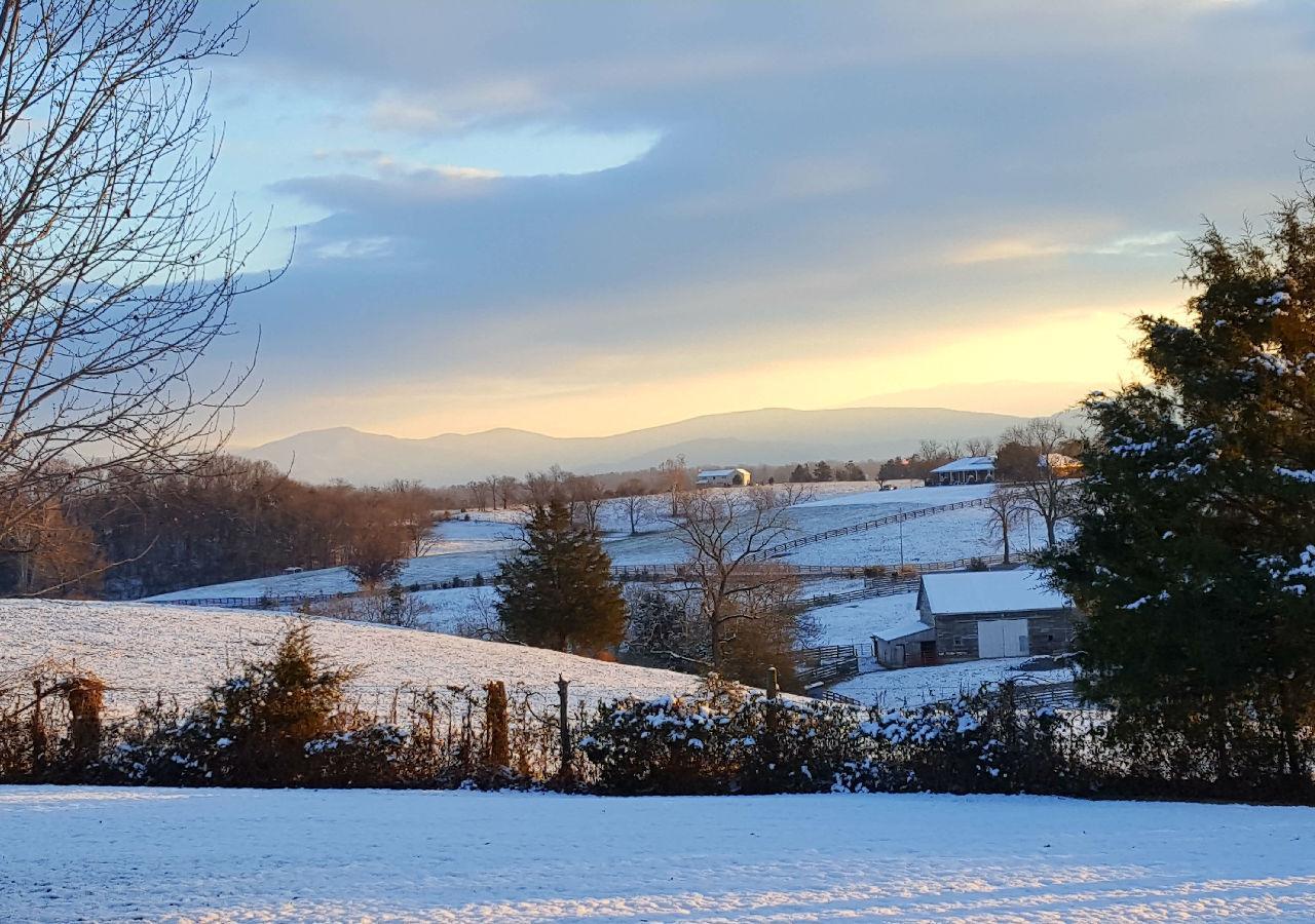 Piney Hill B&B&Cottages Luray Exteriör bild