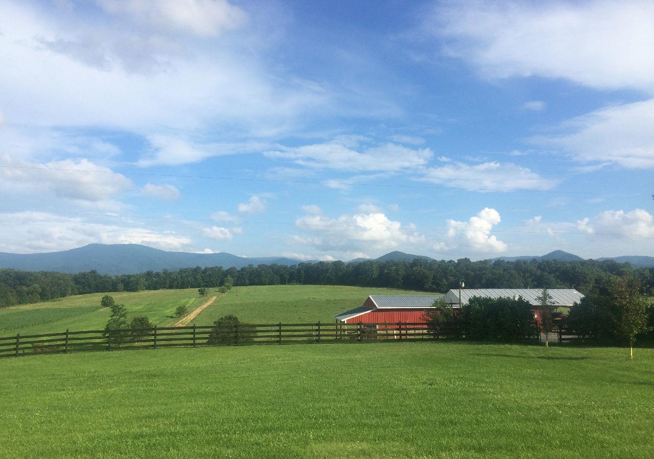 Piney Hill B&B&Cottages Luray Exteriör bild
